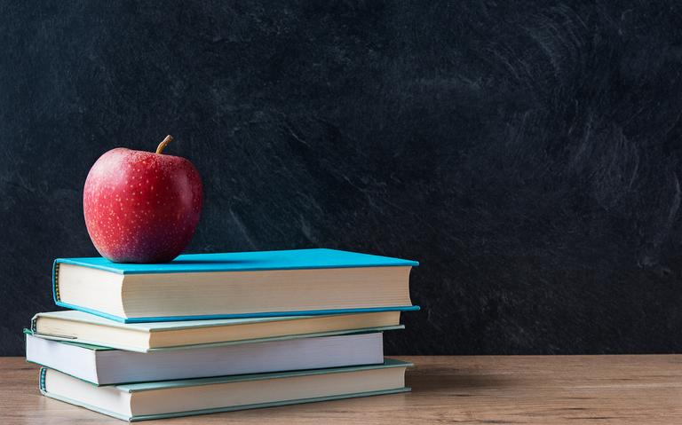 Help wanted: AmeriCorps tutoring positions open at area school districts - Vimarsana News